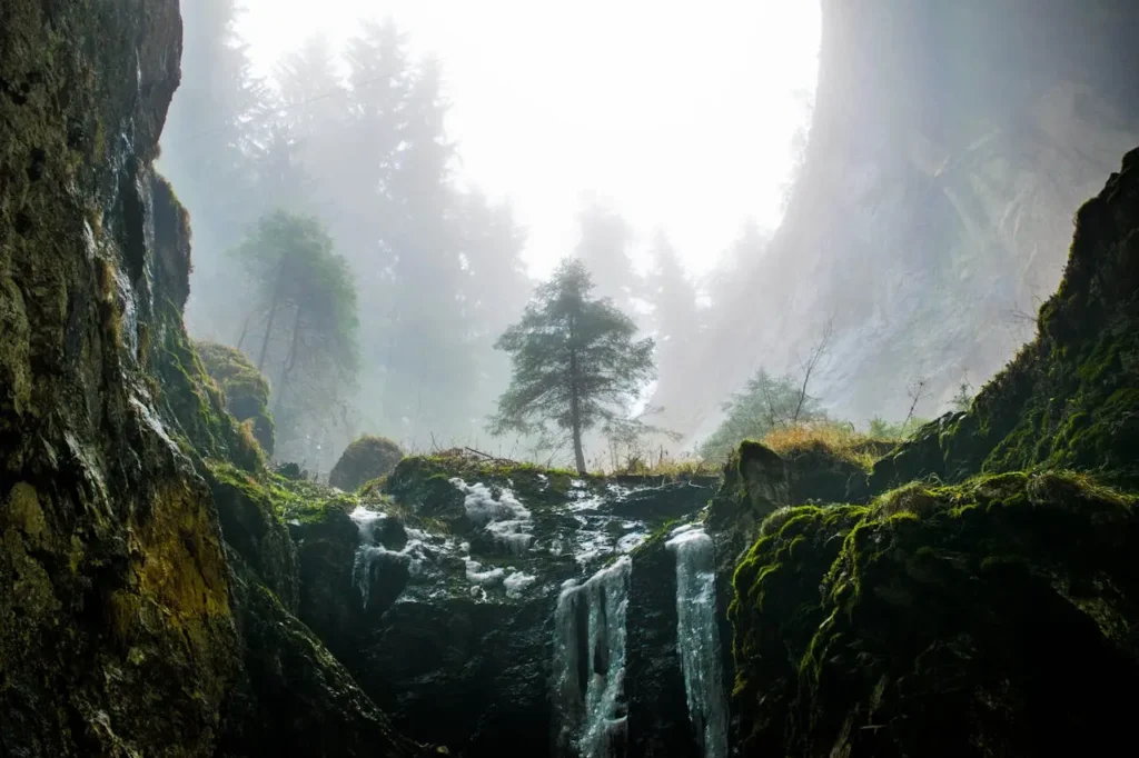 Rain Forest Waterfall Fountain